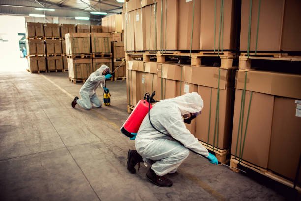 Best Affordable Pest Control Services  in Franklin Park, NJ