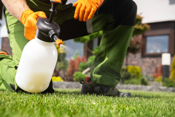 Best Best Pest Control Companies  in Franklin Park, NJ