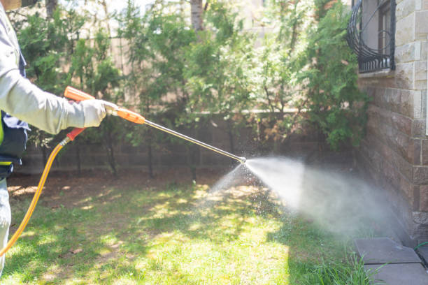 Best Wasp Removal Services  in Franklin Park, NJ