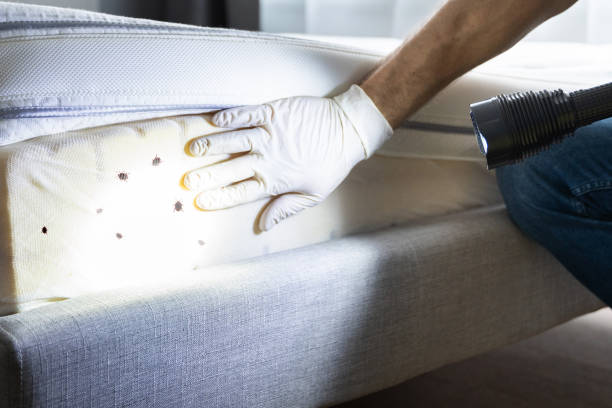 Best Residential Pest Control  in Franklin Park, NJ