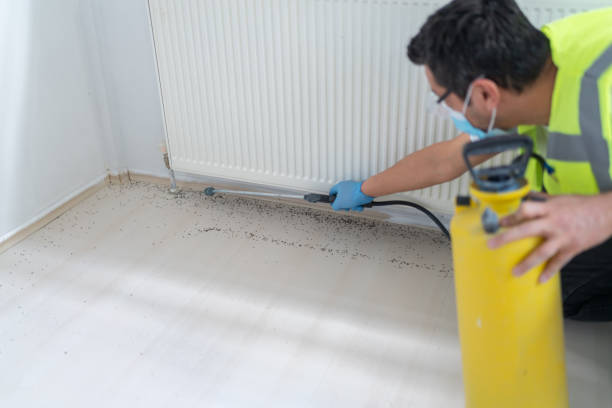 Best Local Pest Control Services  in Franklin Park, NJ