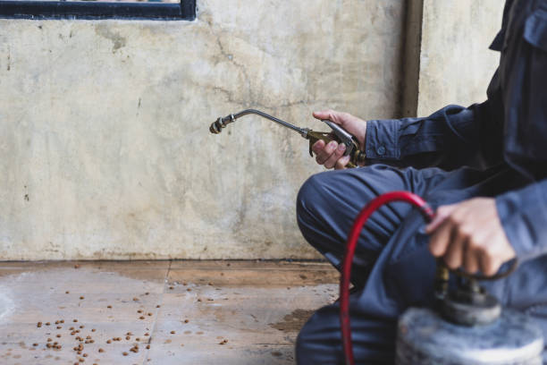 Best Pest Prevention Services  in Franklin Park, NJ