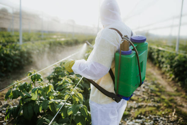 Best Commercial Pest Control Services  in Franklin Park, NJ